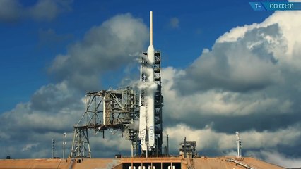 The Space X super-car, about to take off