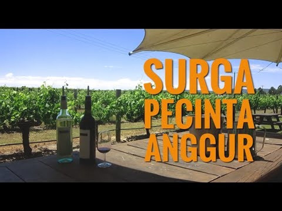 Swan Valley, Surga Pecinta Anggur di Australia Barat