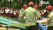 La Chine interdit le commerce d'ivoire