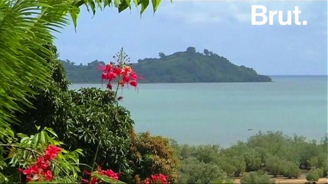 Les lémuriens en danger à Madagascar