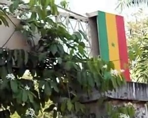 Retour sur les 30 premières années du conflit en Casamance