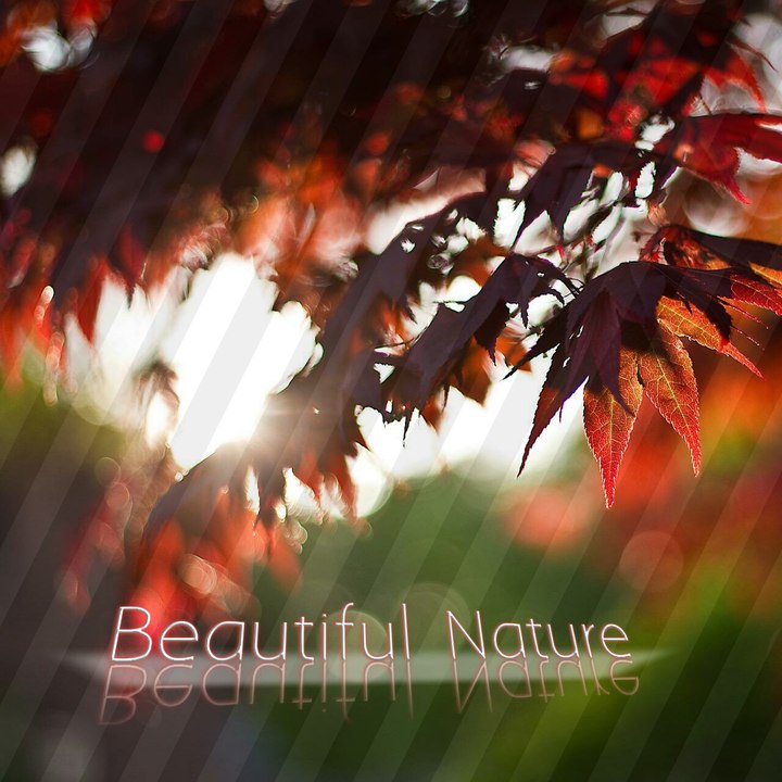 Beautifulcampus