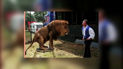 Top 5 Craziest Circus Event GONE WRONG Ever Heard - All in One