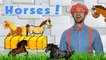 Horses for Children - Learn Farm Animals for Kids. The Horse Song from Blippi