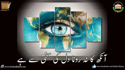 حضرت سلطان باھُو ؒ کی تعلیمات : حُب دنیا کے اثرات