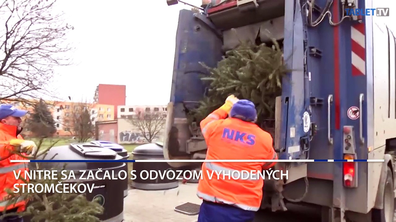 Odvoz a likvidácia stromčekov v Nitre