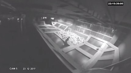 Un père et son fils s’introduisent dans un parc de jeux la nuit (Vidéo)