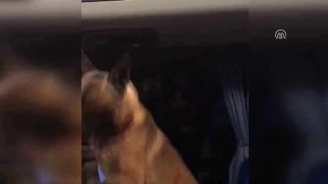 Atik Uyuşturucuya Geçit Vermedi - Sivas