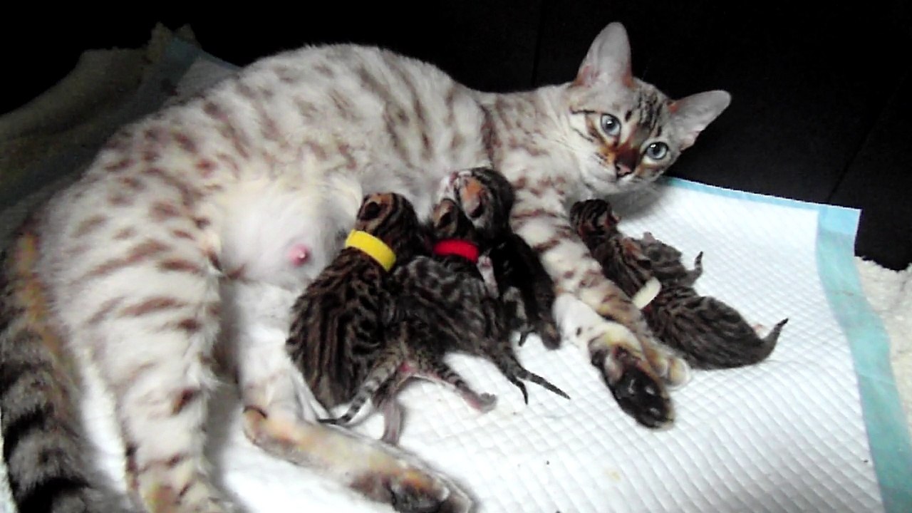 Naissance du 7 janv 18 le 8 janv 18