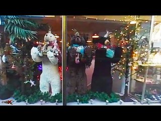 Vlog #22 : What we found in Cambridge (360 CAM)