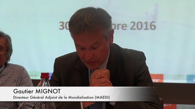 Gauthier Mignot MAEDI 20 ans Comité foncier