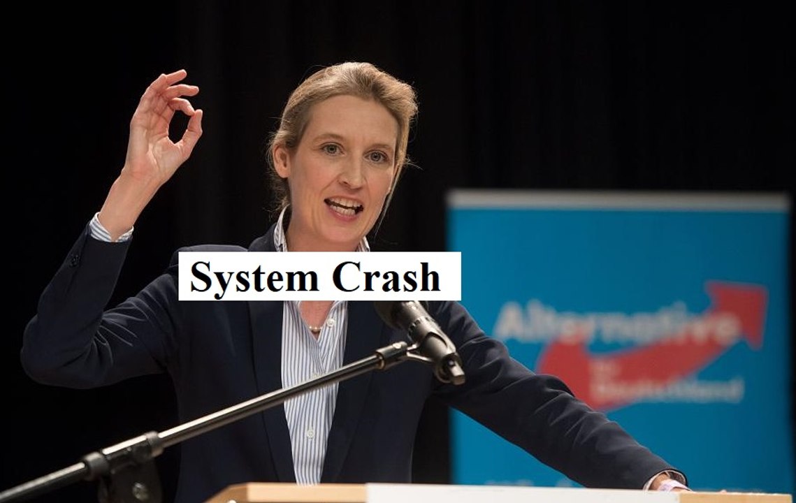 AfD Alice Weidel überzeugt LETZTE ZWEIFLER