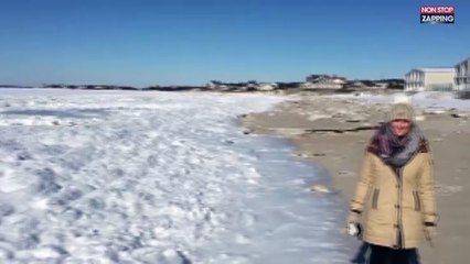 Etats-Unis : Une plage transformée en banquise après la vague de froid (vidéo)