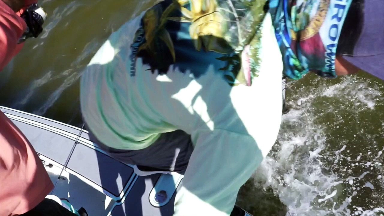Cobia Pulls Man Overboard