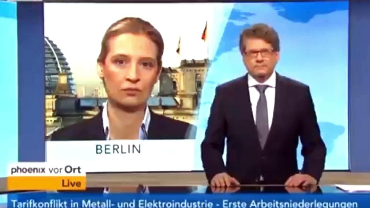 Weidel AfD sagt einen wahren Satz, die CSU zündet Nebelkerzen, weil die CDU SPD Politik macht .