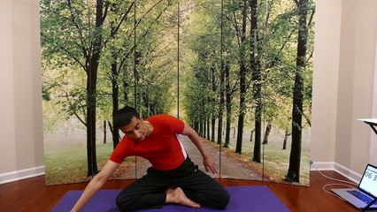 Yoga Plank Pose Challenge for Ab and Core Power