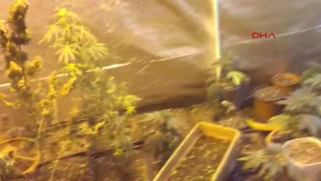 Sakarya Uyuşturucu Üretmek İçin Evde İklimlendirme Sistemi Kurmuş