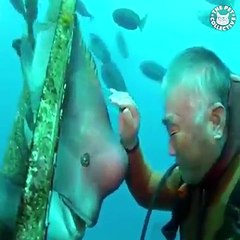 Fish are great pets too! ❤️