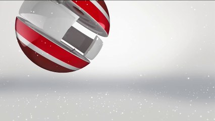 YTV Holiday Filler (2013-present)