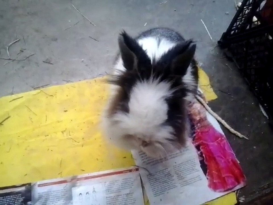 zec