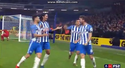 D.Stephens Goal Brighton  1 - 0 Crystal Palace 08.01.2018 HD