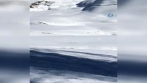 Hakkari'de PKK Terör Örgütüne Ait Çok Sayıda Patlayıcı Ele Geçirildi