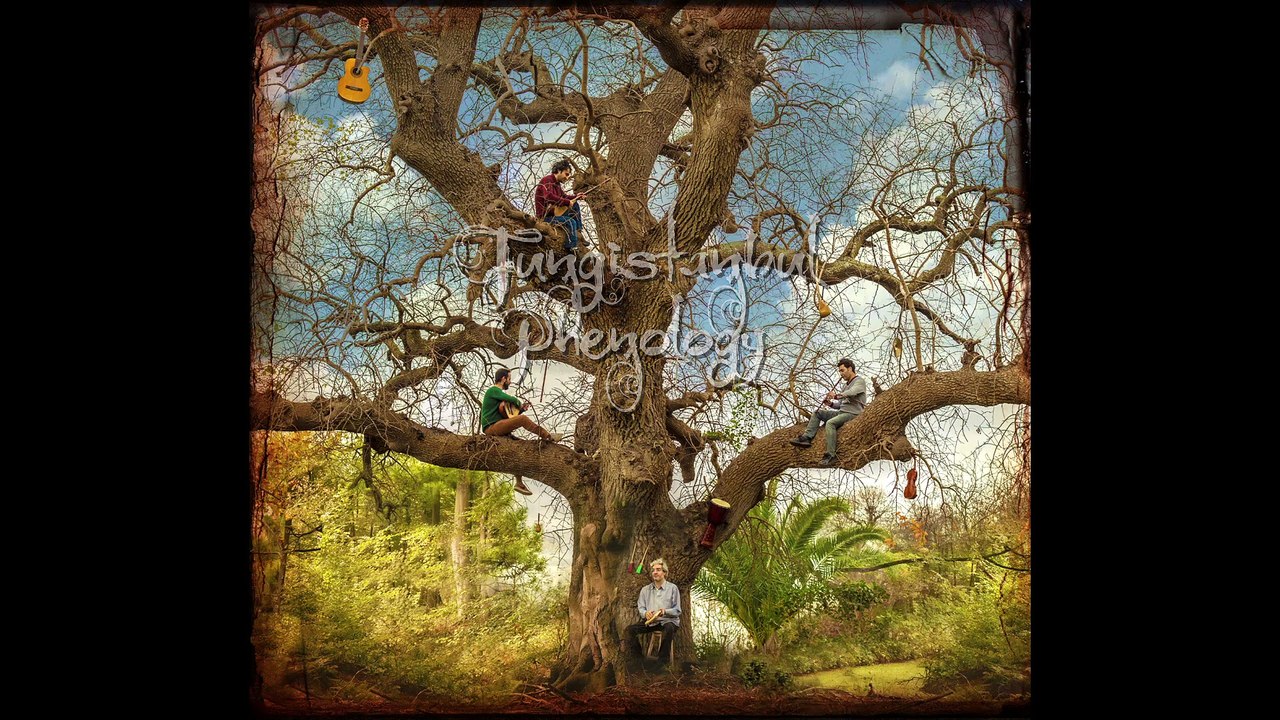 Fungistanbul - Phenology (Official Album Snippet)
