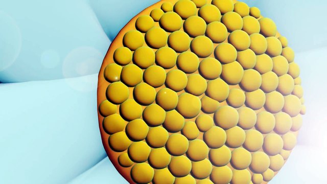 Niloya Şarkı Bülbül Şarkısı