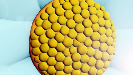 Niloya   Şarkı   Kar