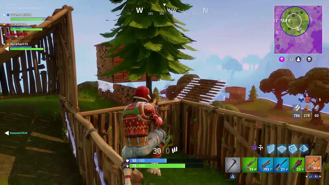 Fortnite Win