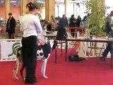 Fin du concours canin