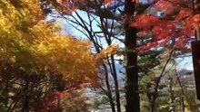 日本の美しい景色 山梨 富士河口湖編 富士浅�