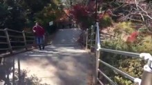 日本の美しい景色 山梨 富�