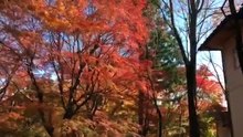 日本の美しい景色 山梨 富士河口湖編
