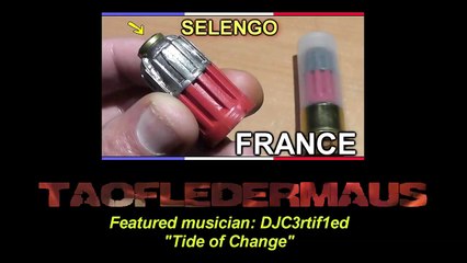 500 S&W Bullets from a SHOTGUN Experiment