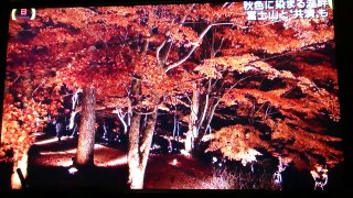 秋色に染まる山中湖湖畔 富士山�