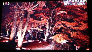秋色に染まる山中湖湖畔 富士�