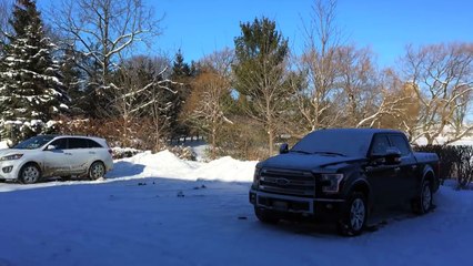 SUMMIT 850 Snowmobile Powder WHEELIES!