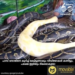 പാമ്പ് മസാജ് എന്ത്...ഇത് ആണ് പാമ്പ്‌.....!!!