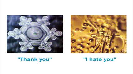 Can You Make Your Water Healthier Through Positive Thought