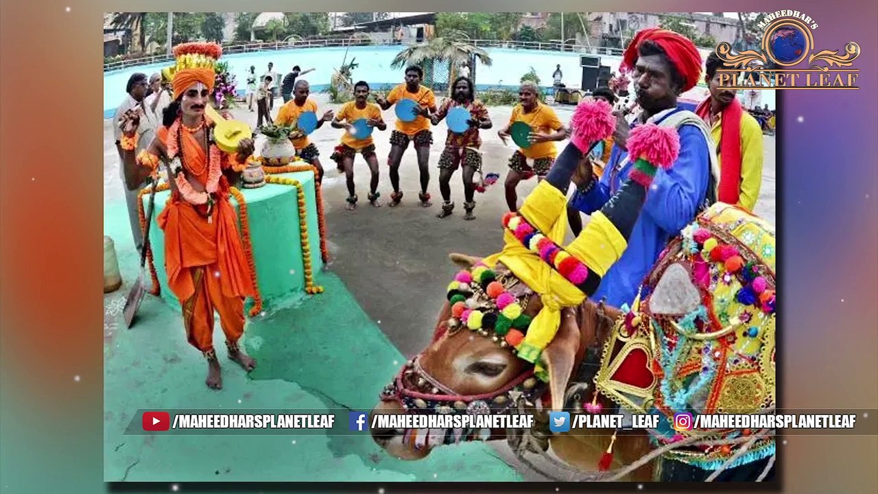 Unknown Historical Facts Behind Cockfight At The Time Of Sankranti __ కోడి పందేల చరిత్ర మీకు తెలుసా_