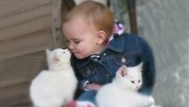 Cute Babies Snuggling Cats - Funny Cat loves Baby Compilation