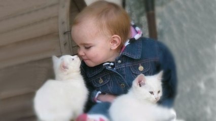 Cute Babies Snuggling Cats - Funny Cat loves Baby Compilation