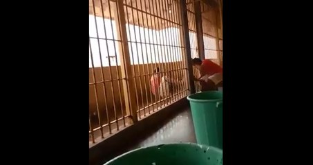 Ils se filment en train de s'évader de prison.