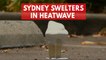 Sydney swelters in record-breaking heatwave