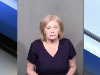 PD: Woman fires shots at husband on toilet