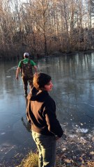 Rescuing a Deer from Frozen Pond