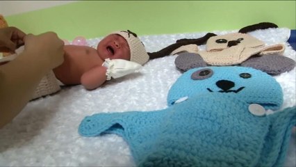 هذا الصباح-مستشفى تايلاندي يحتفل بعيد الكلب الصيني