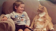 Babies Can't Stop Laughing and Giggling at Cats - Funny Baby and Cat Compilation