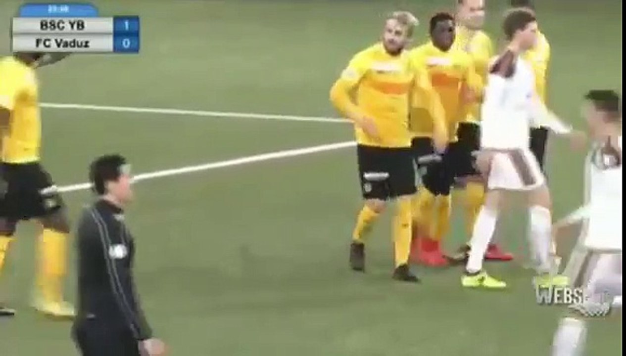 Young Boys 6:1 Vaduz (Friendly Match. 8 January 2018 )